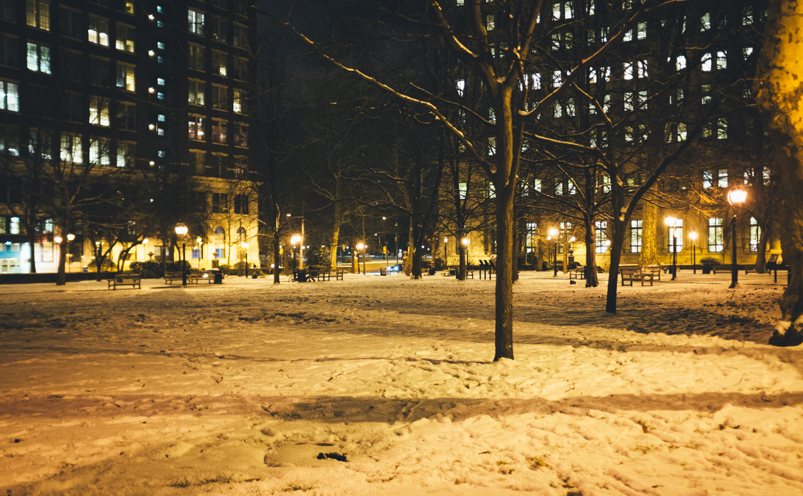 snow1